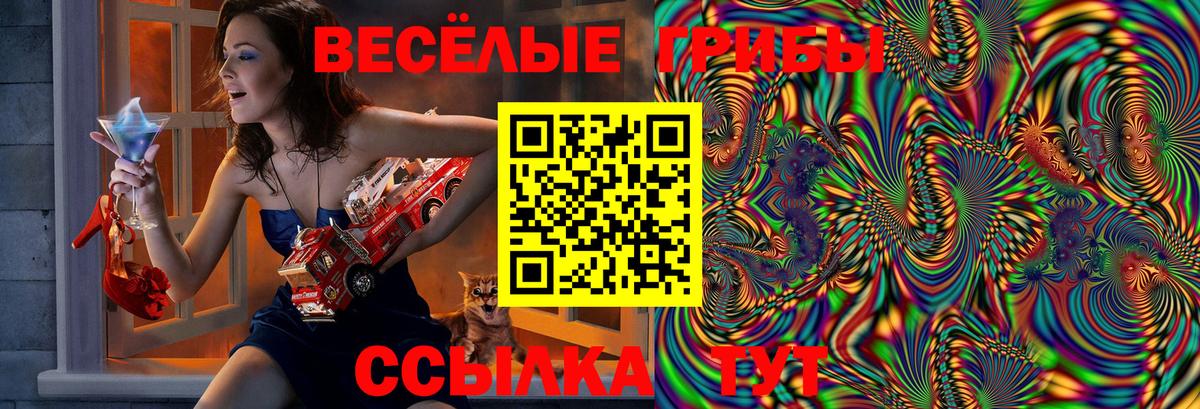 Галлюциногенные грибы Magic Shrooms  Псилоцибиновые грибы Psilocybine cubensis  Вход с VPN  Кизляр 