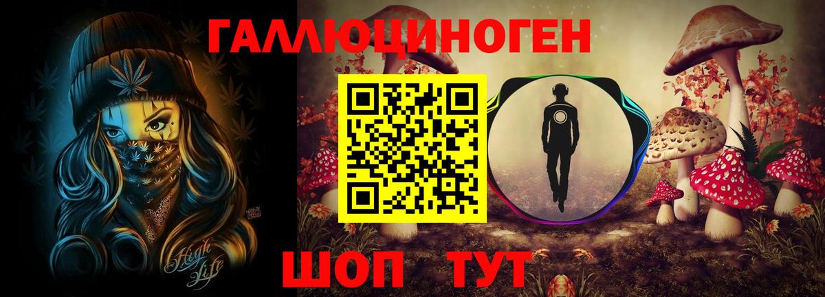 Галлюциногенные грибы Psilocybine cubensis Кизляр
